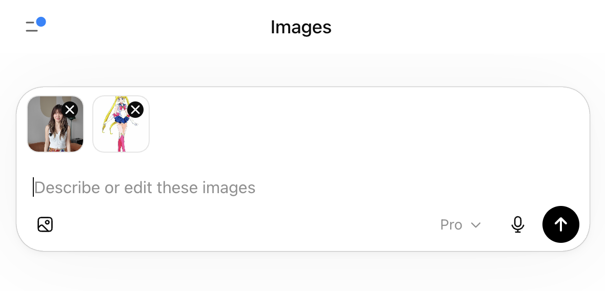 Step 2 — the two images you upload